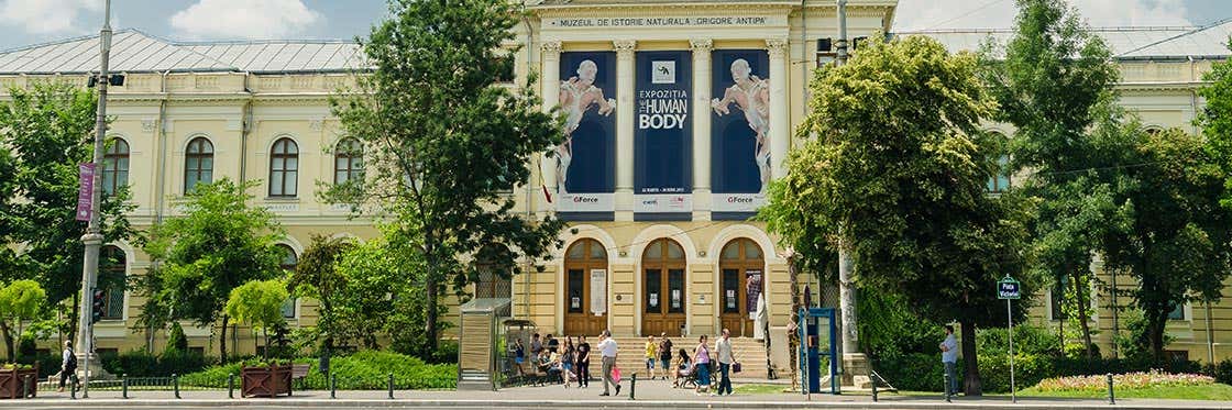 Musée National d'Histoire Naturelle